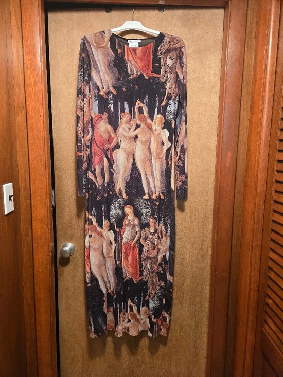 Zara Dresses & Skirts - NWT Zara Botticelli Print Maxi tulle dress Size Large